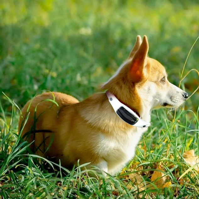 JS-S1 Pet GPS Collar